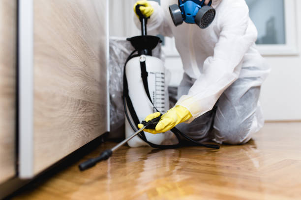 Best Pest Removal Services  in Staples, MN