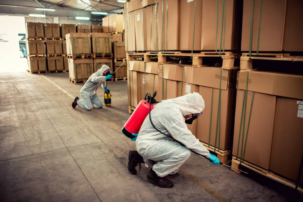 Best Local Pest Control Services  in Staples, MN