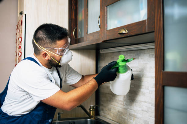 Best Cockroach Control Services  in Staples, MN
