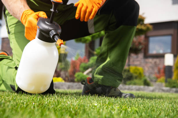 Best Rat Extermination Near Me  in Staples, MN