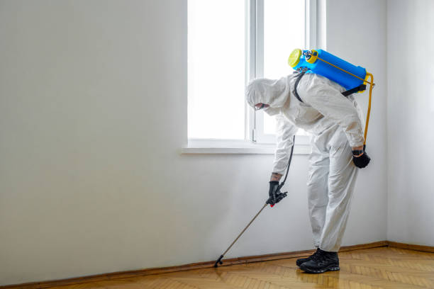 Best Exterminator Services  in Staples, MN