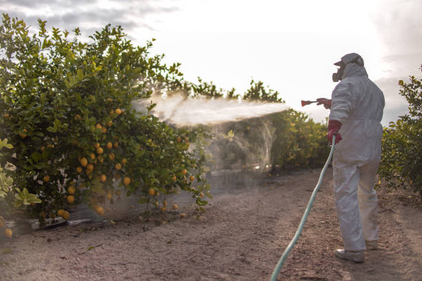 Best Residential Pest Control  in Staples, MN