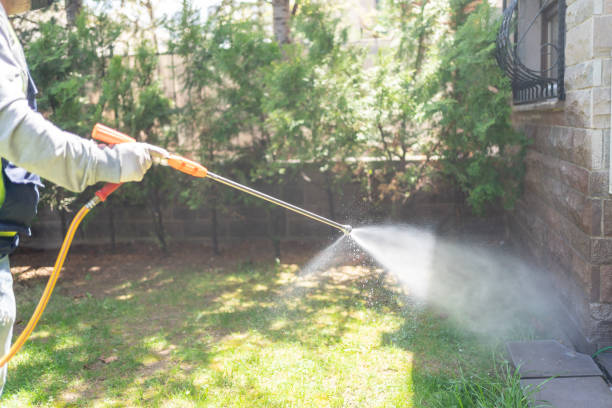 Best Flea Control Services  in Staples, MN