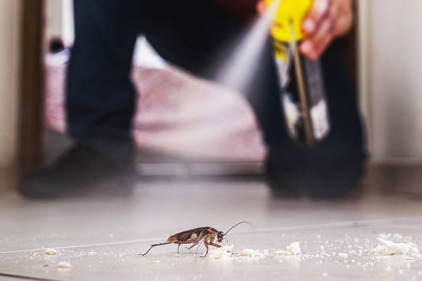 Best Commercial Pest Control Services  in Staples, MN