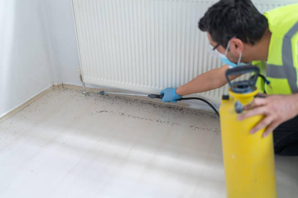 Reliable Staples, MN Pest Control Solutions