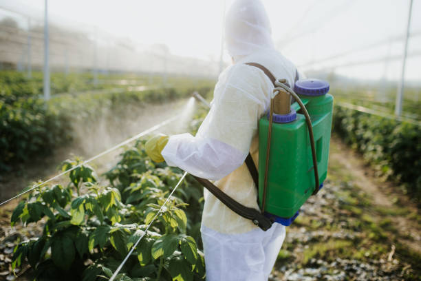 Best Best Pest Control Companies  in Staples, MN